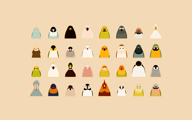 Tori No Iro Bird Wallpaper Maker Birnimal App